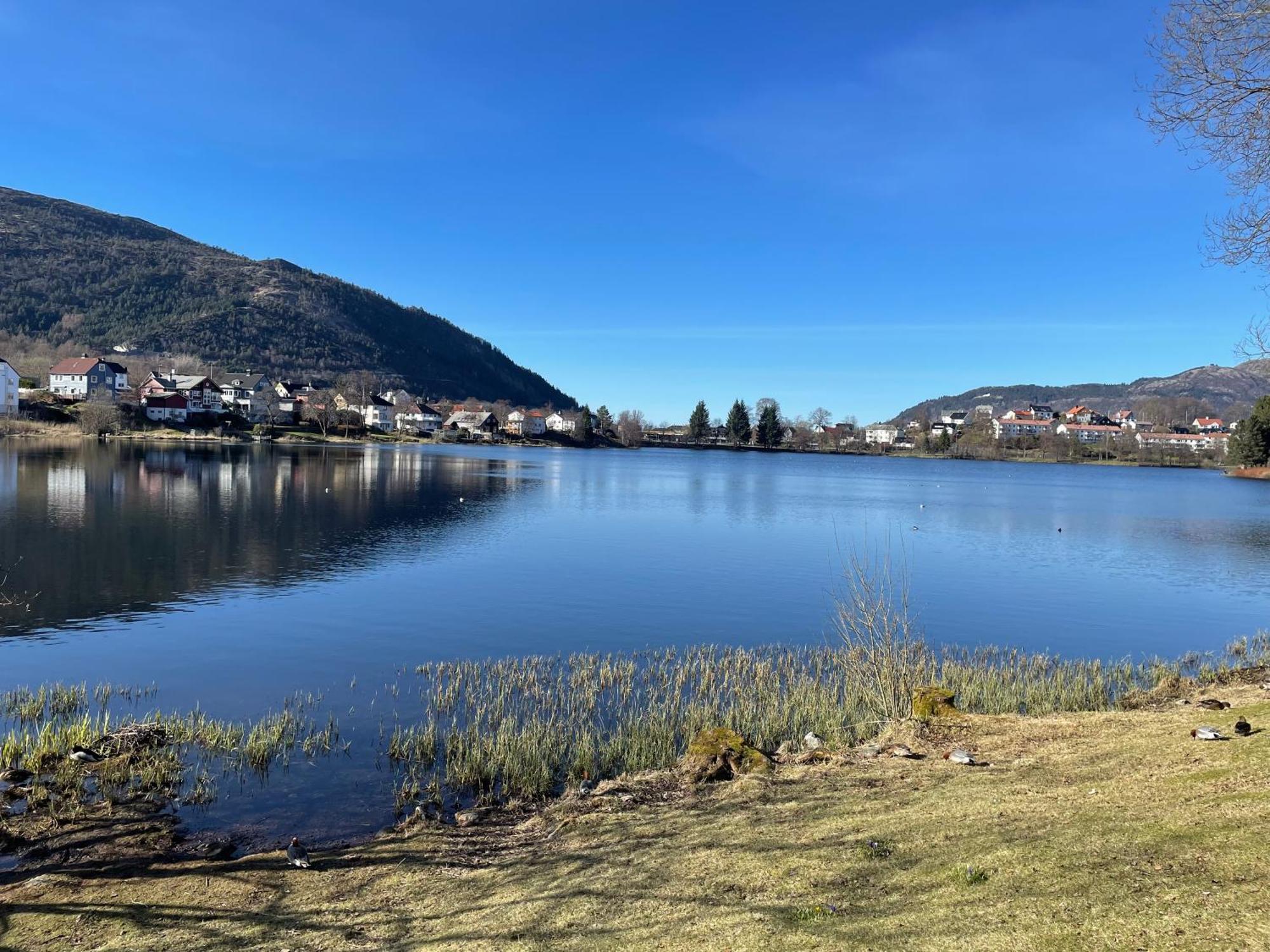 3 Sleeping Rooms For 82M2 Which Direct Traffic To Airport And City Center Bergen Zewnętrze zdjęcie