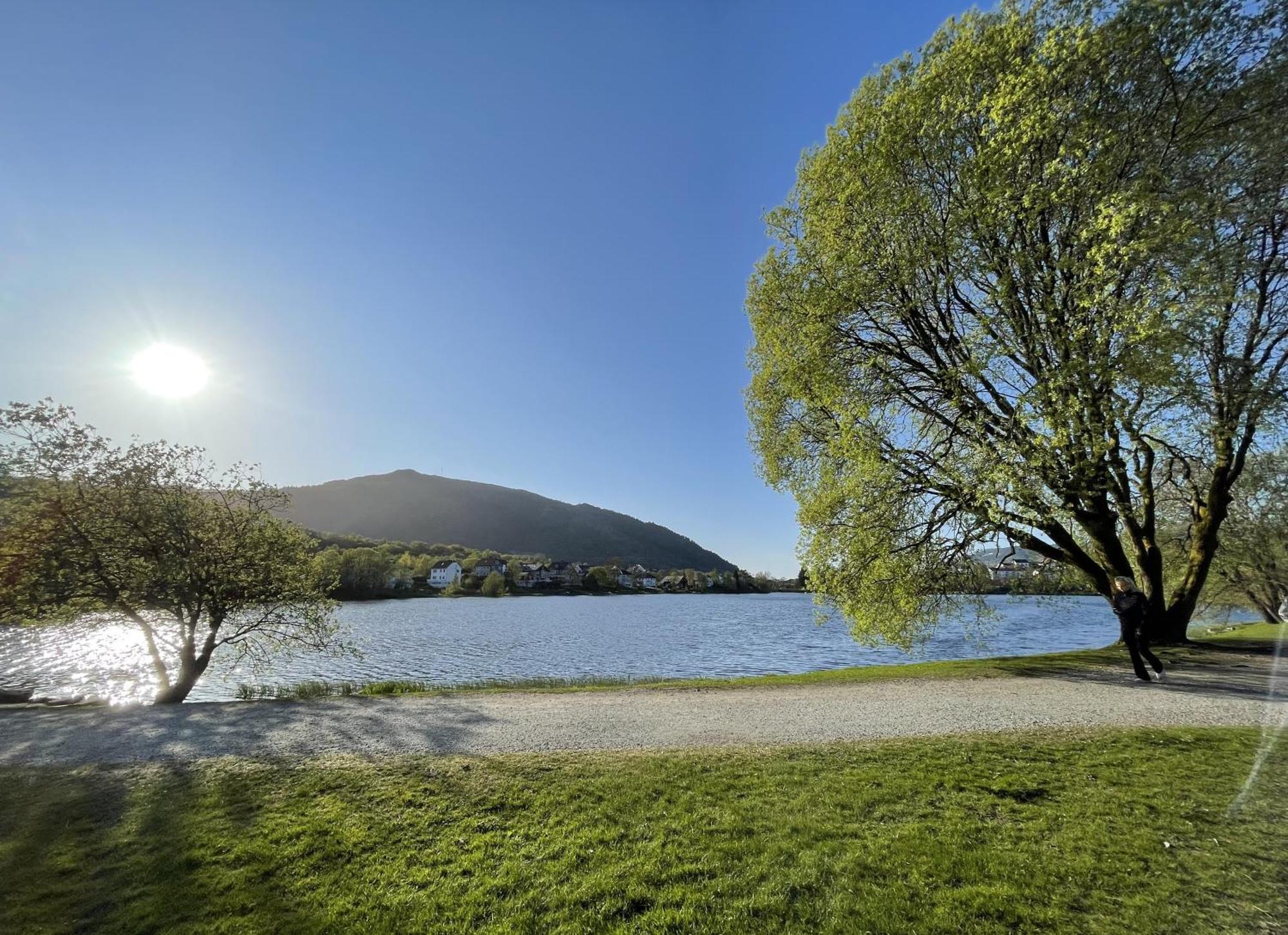 3 Sleeping Rooms For 82M2 Which Direct Traffic To Airport And City Center Bergen Zewnętrze zdjęcie
