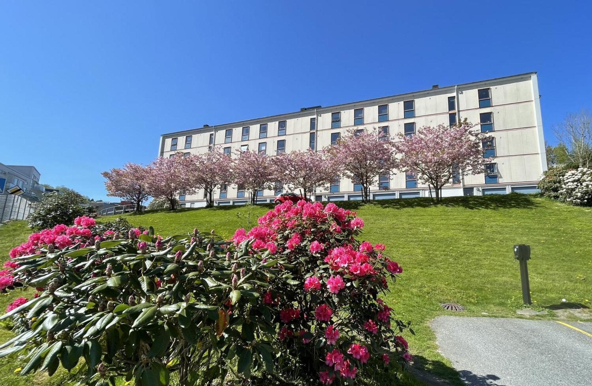 3 Sleeping Rooms For 82M2 Which Direct Traffic To Airport And City Center Bergen Zewnętrze zdjęcie